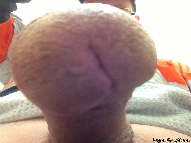 Photo of a penile from tugme