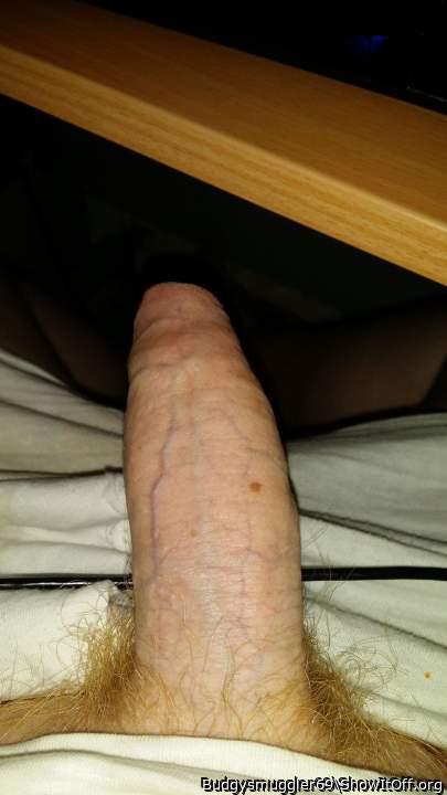 Photo of a dick from Budgysmuggler69