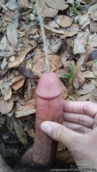 Photo of a sausage from Longweiner10