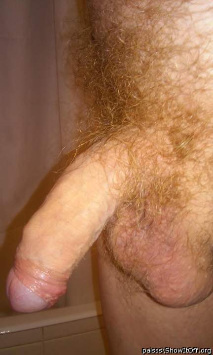 lovely sexy show of tip emerging from foreskin. Hot bush.  