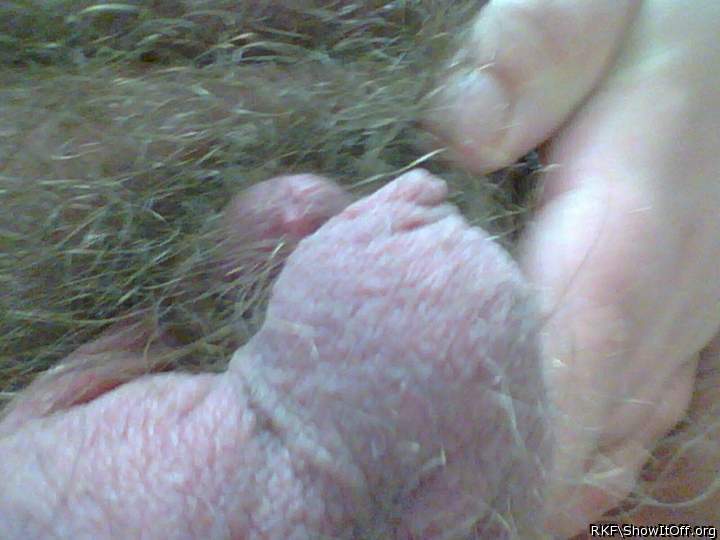 Testicles Photo from rkf
