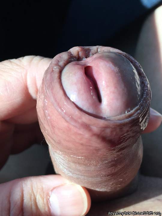 Photo of a bald-headed mouse from ilovemydick