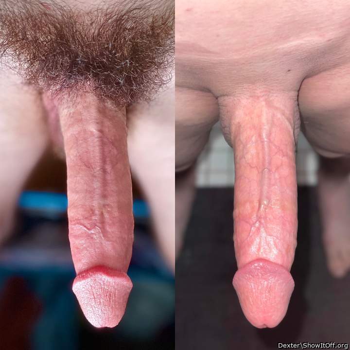 Hairy or Shaved?