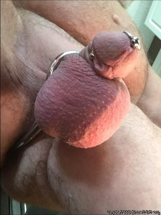 Big Balls and a penis plug!!!!!