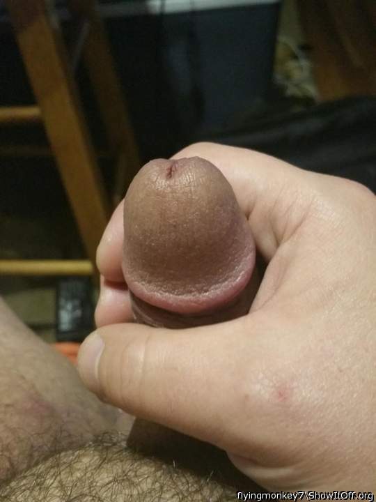Photo of a dong from flyingmonkey7