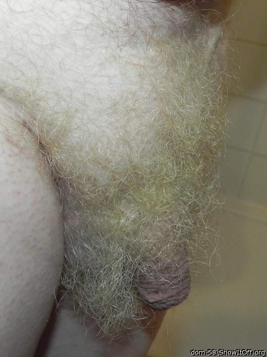 I so LOVE your blond pubic hairs...    