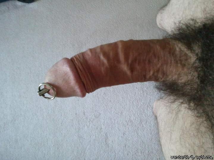Photo of a weasel from xander69