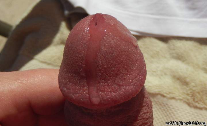 Photo of a phallus from dz338