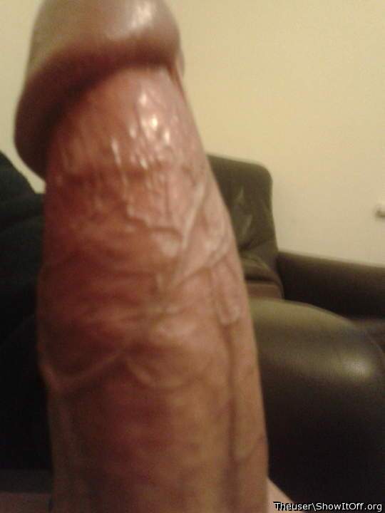 Photo of a pecker from Theuser