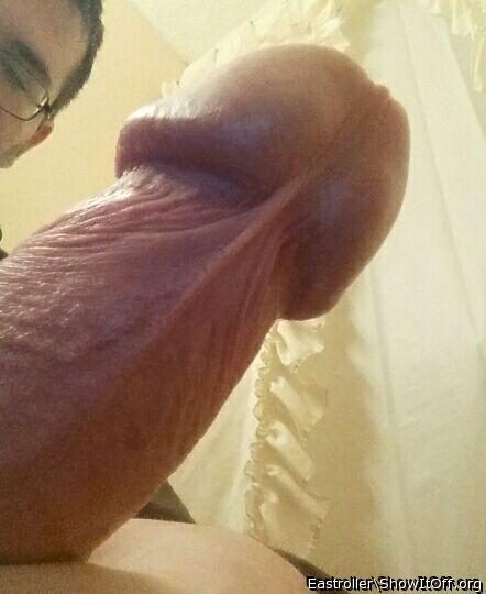 Photo of a penile from *Humpy_Rugmuncher