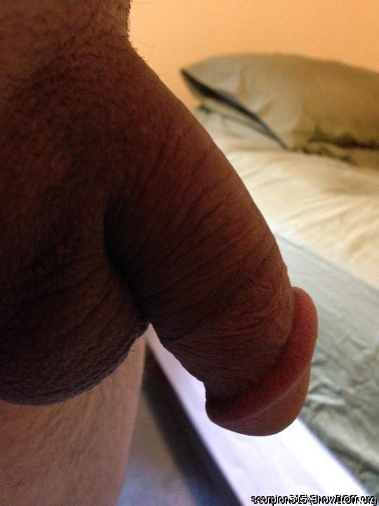Nice dick I want to suck that