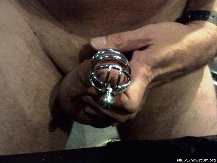 Chasity Cage 2 attached with Urethral plug front view