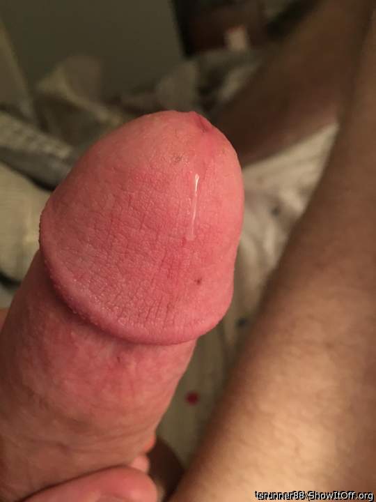 Photo of a penis from tsrunner88
