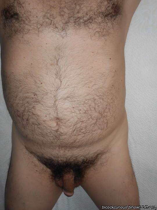 Hairy Body and Cock before trimming