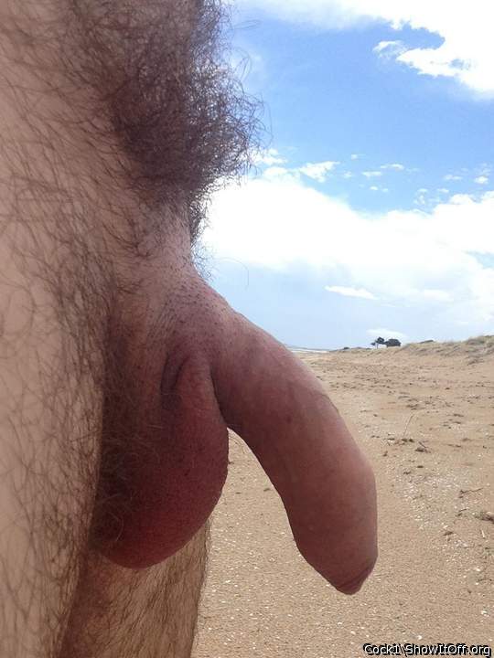   gr8 cock and balls and fabulous foreskin 