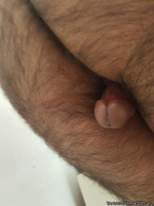Photo of a sausage from Sexbomb