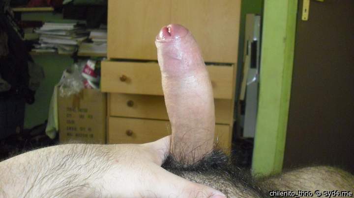 Photo of a penile from chilenito_thno