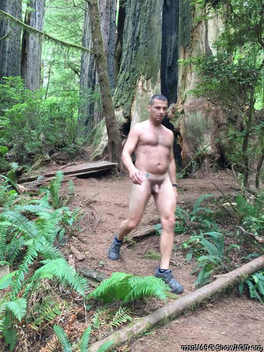 2018. just hiking in the woods