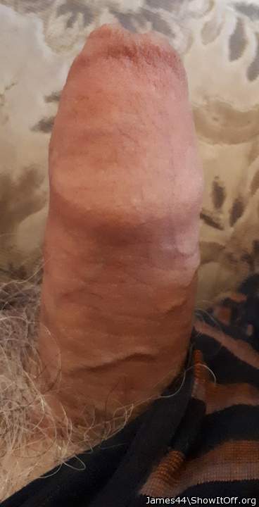 Photo of a dick from James44