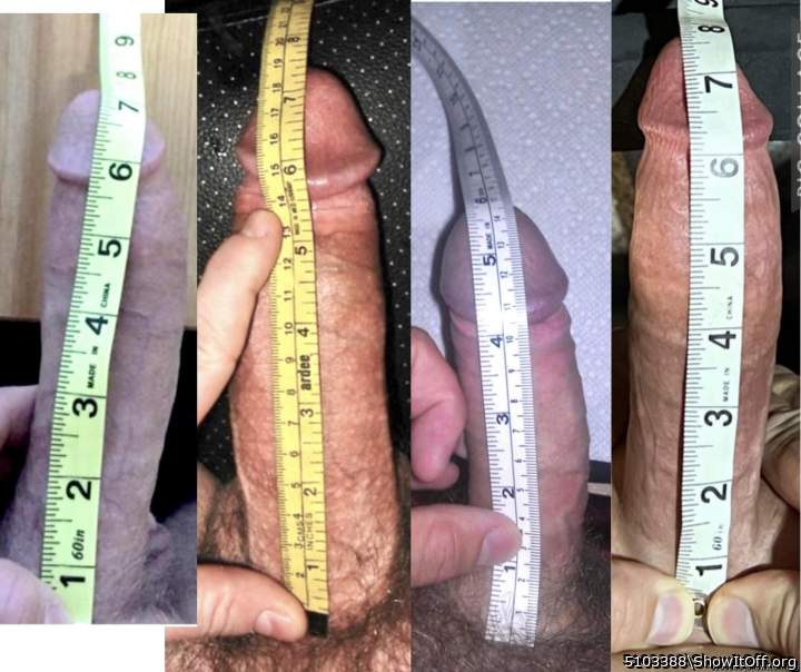 Nice grouping of dicks with longer than average lengths.