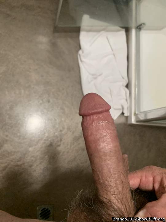 Is a very beautiful big hairy cock.