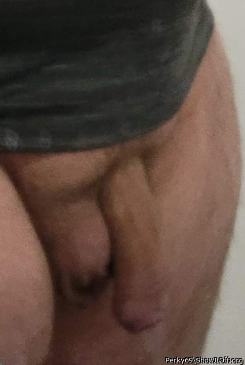 Photo of a dong from Perky69