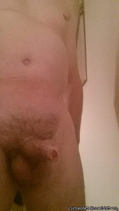 Great cock and sexy ginger pubes 