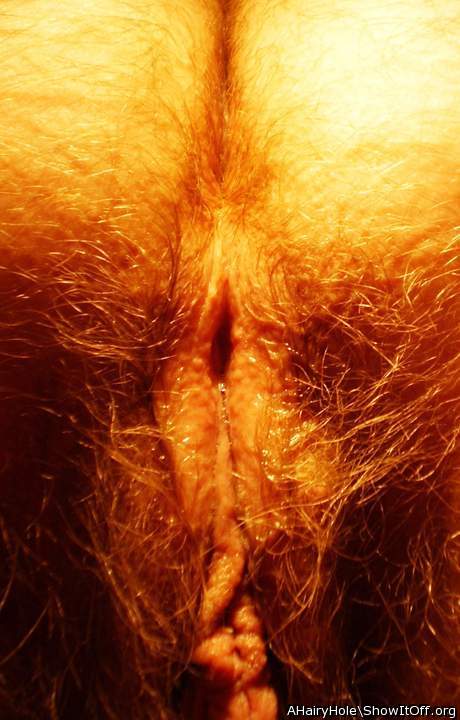 my hairy holes, doggy-view