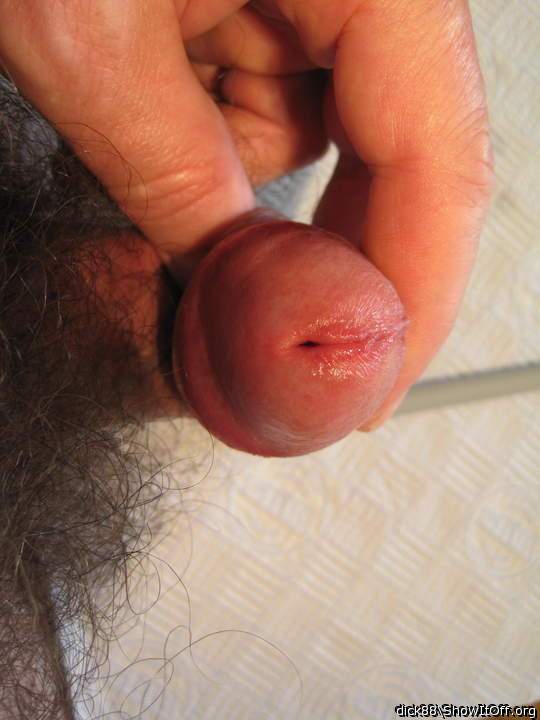 Photo of a short leg from Dick88