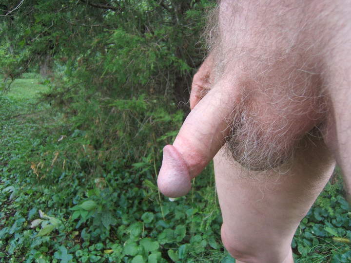 Photo of a phallus from like2jack