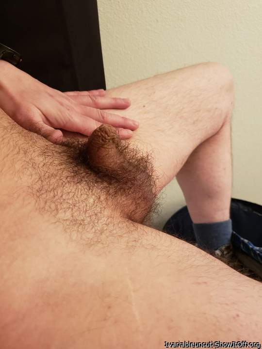 The pubic hair gives the penis a beautiful character
