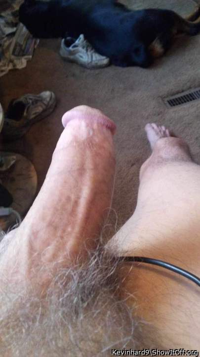 Photo of a dick from Kevinhard9