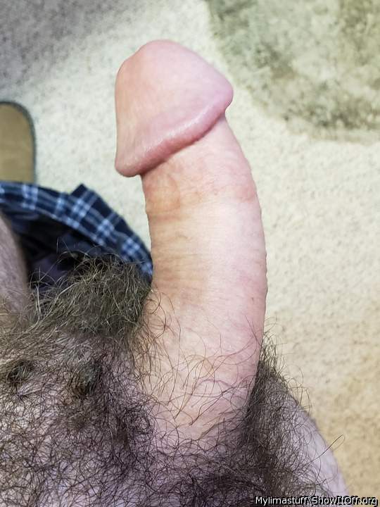 I like guys who keep their dicks hairy 
