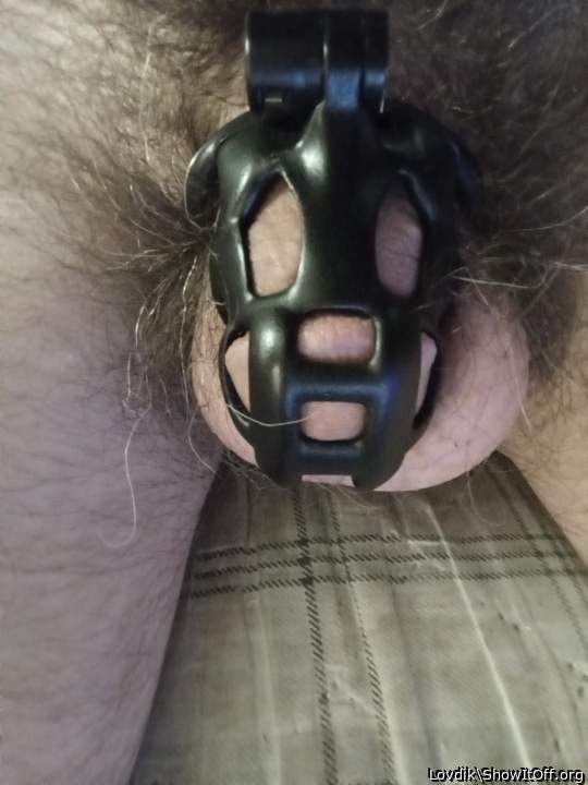 Tiny cock in chastity