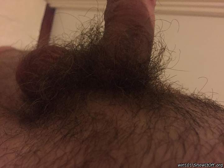 In need of some shaving