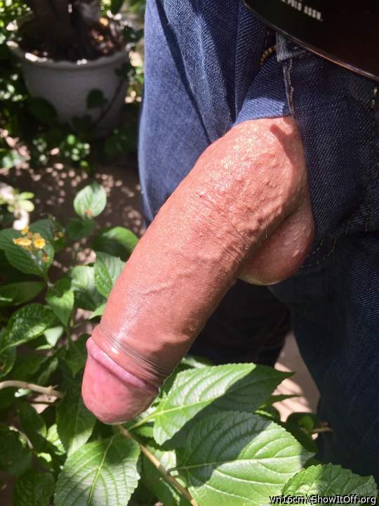 Photo of a phallus from vn16cm