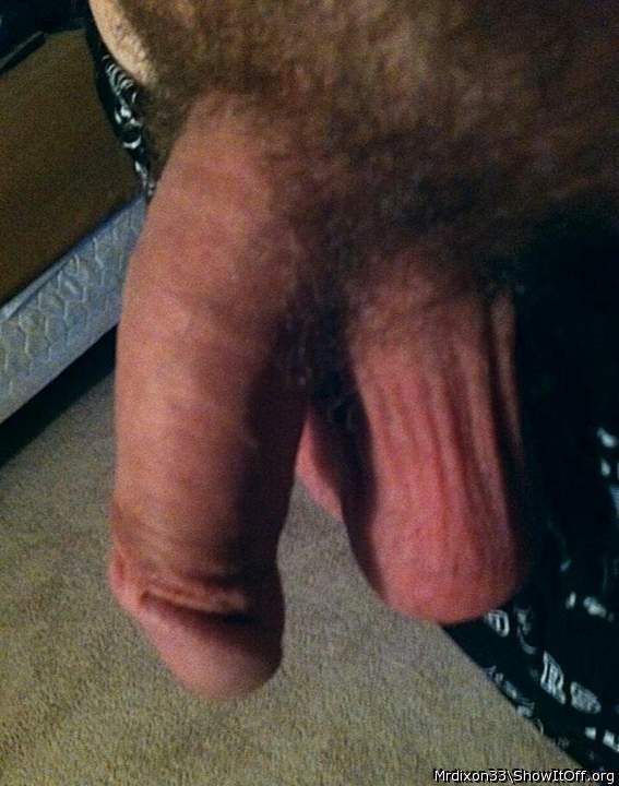 Wot a sexy looking flaccid dick, very good looking  