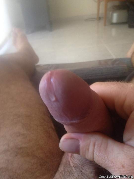 Photo of a short leg from Cock1