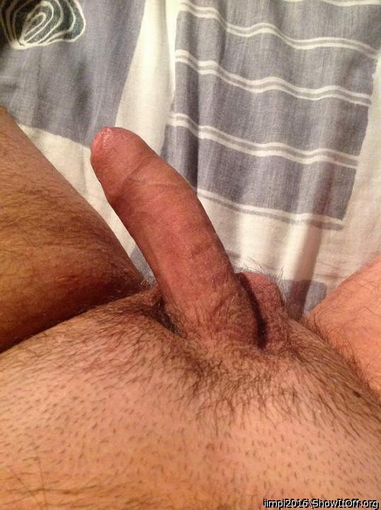nicely trimmed! good looking cock!  