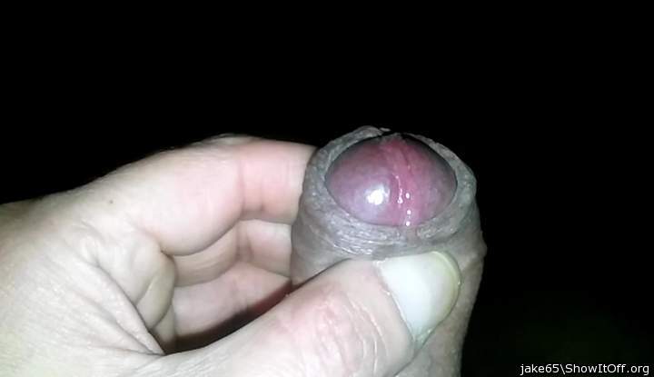 Photo of a dick from jake65