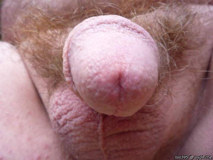 I love the edge of the circumcised foreskin showing on the l