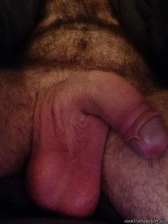 BEAUTIFUL FURRY BODY, UNCUT COCK AND THOSE BALLS I WOULD LOV