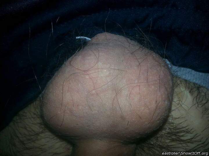 Testicles Photo from *Humpy_Rugmuncher