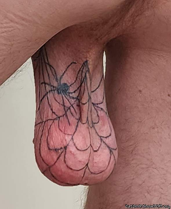 Spider web genital tattoo on my loose scrotum backside
