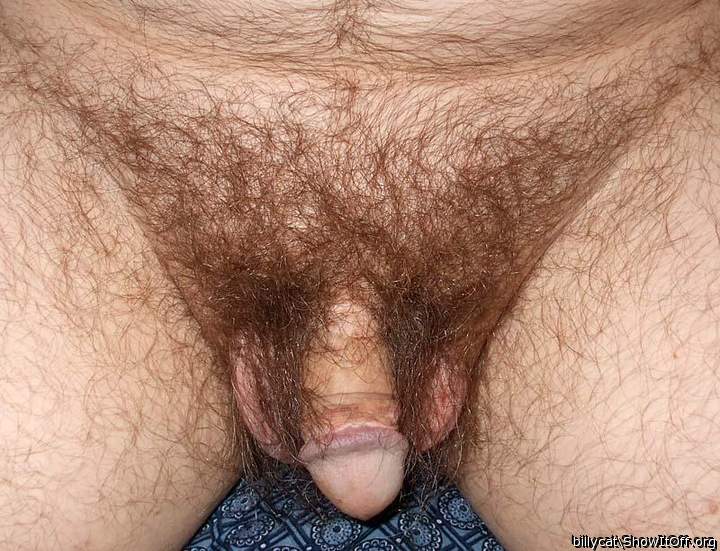 Beautiful hairy dick