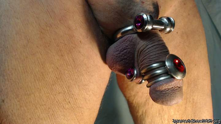 Pierced Cock Jewelry