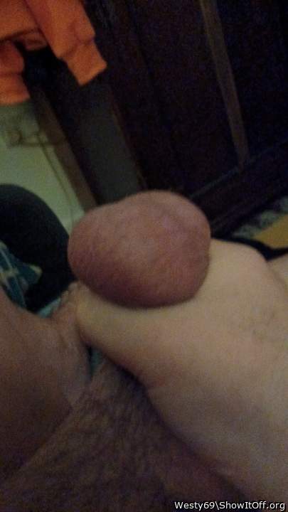 Testicles Photo from Westy69
