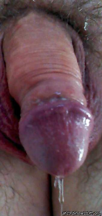 would love to taste your juicy dick!