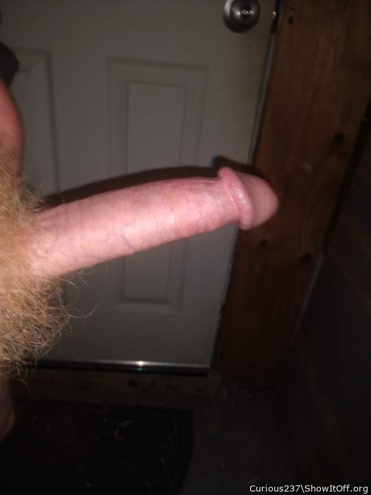 Photo of a cock from Curious237