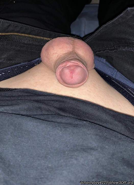 Photo of a penis from dchornyboy4223